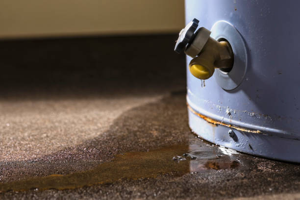 Best Water damage restoration insurance claims  in Thonotosassa, FL