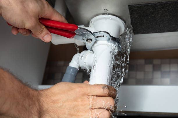 Best Water damage contractors near me  in Thonotosassa, FL