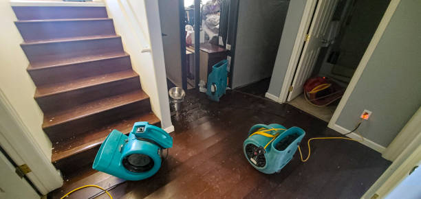 Best 24-hour water damage restoration  in Thonotosassa, FL