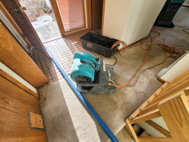Best Water damage contractors near me  in Thonotosassa, FL