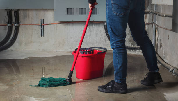 Reliable Thonotosassa, FL Water damage restoration Solutions