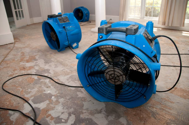 Best Flooded house restoration  in Thonotosassa, FL