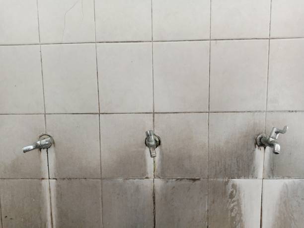 Best Water damage contractors near me  in Thonotosassa, FL