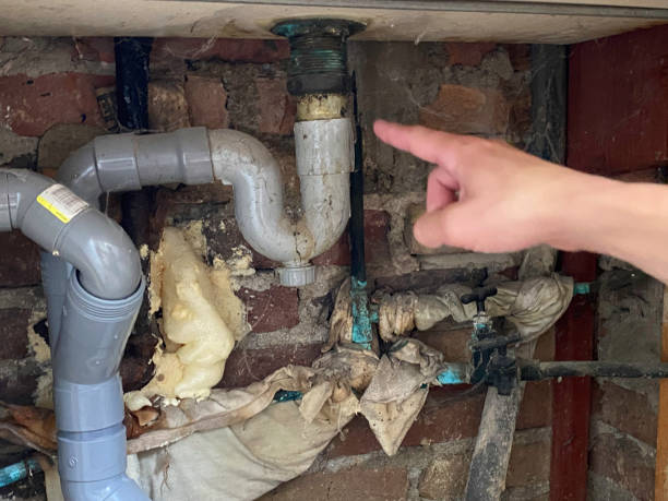 Best Water damage cleanup near me  in Thonotosassa, FL