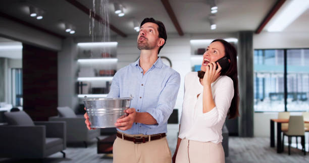 Best Flood damage cleanup  in Thonotosassa, FL