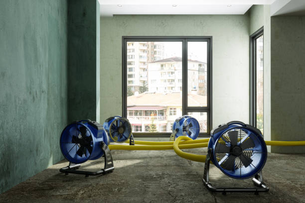 Best Ceiling water damage repair  in Thonotosassa, FL